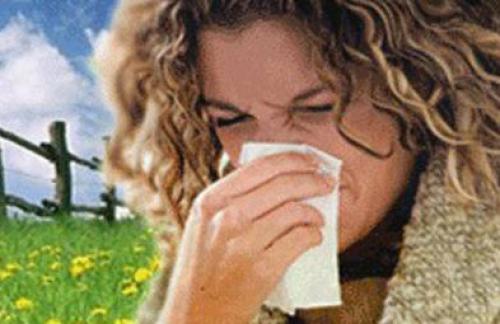 Alerjik Rinit (Saman Nezlesi)